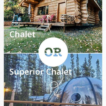 Rocky Mountain Escape Dome & Log Cabin Rentals - Rock Lake Rock Lake Lodge Provincial Park Buitenkant foto