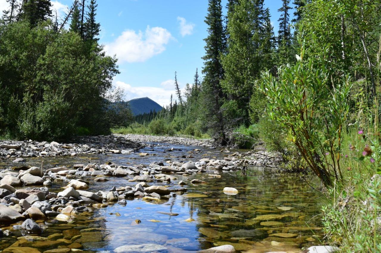 Rocky Mountain Escape Dome & Log Cabin Rentals - Rock Lake Rock Lake Lodge Provincial Park Buitenkant foto