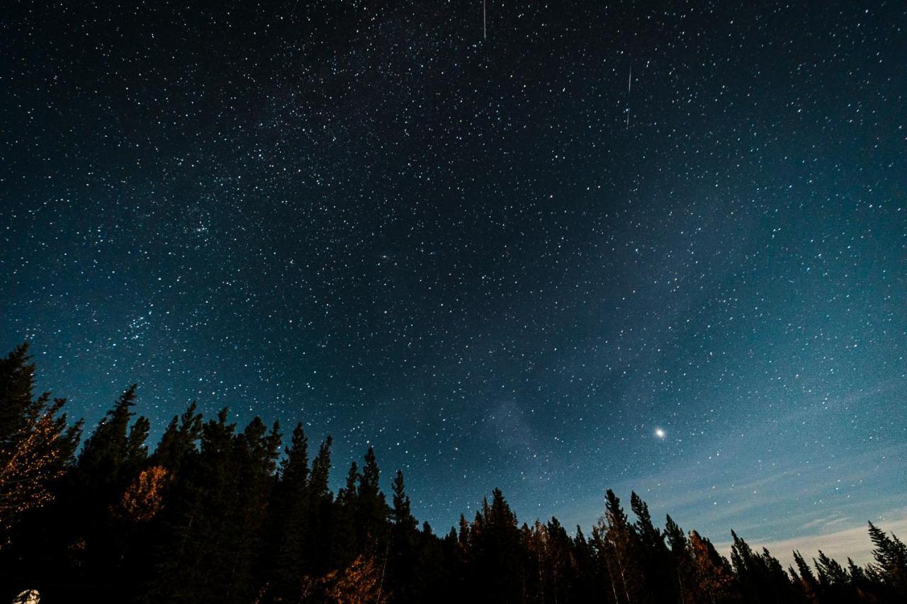 Rocky Mountain Escape Dome & Log Cabin Rentals - Rock Lake Rock Lake Lodge Provincial Park Buitenkant foto