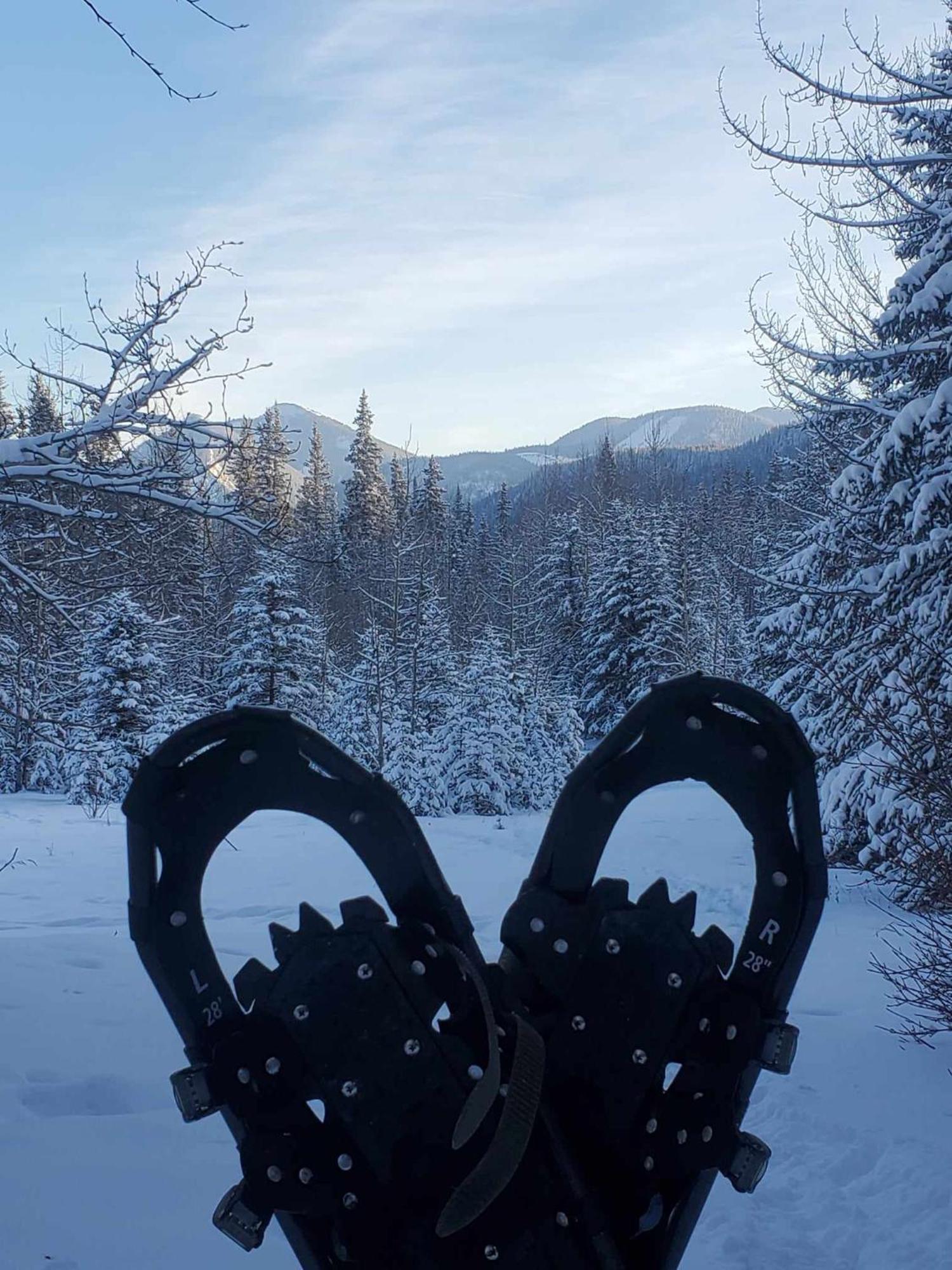 Rocky Mountain Escape Dome & Log Cabin Rentals - Rock Lake Rock Lake Lodge Provincial Park Buitenkant foto